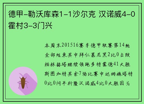 德甲-勒沃库森1-1沙尔克 汉诺威4-0霍村3-3门兴