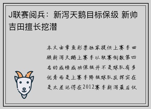 J联赛阅兵：新泻天鹅目标保级 新帅吉田擅长挖潜