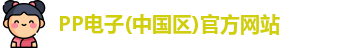 pp电子